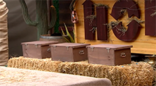 Big Brother 15 HoH Competition - Bull in the China Shop